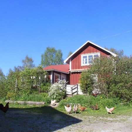 Boende Naera Romme Alpin Och Andra Friluftsaktiviteter I Dalarna Smedjebacken Экстерьер фото